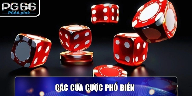 Các cửa cược phổ biến