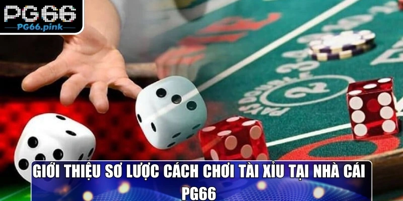 Giới thiệu sơ lược cách chơi tài xỉu tại nhà cái PG66