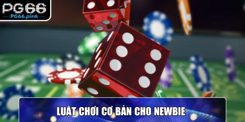 Luật chơi cơ bản cho newbie