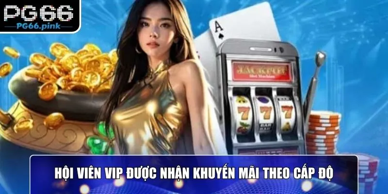 Hội viên VIP được nhận khuyến mãi theo cấp độ