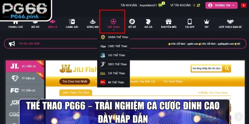 Giới thiệu sơ lược sảnh cá cược hàng đầu thể thao PG66