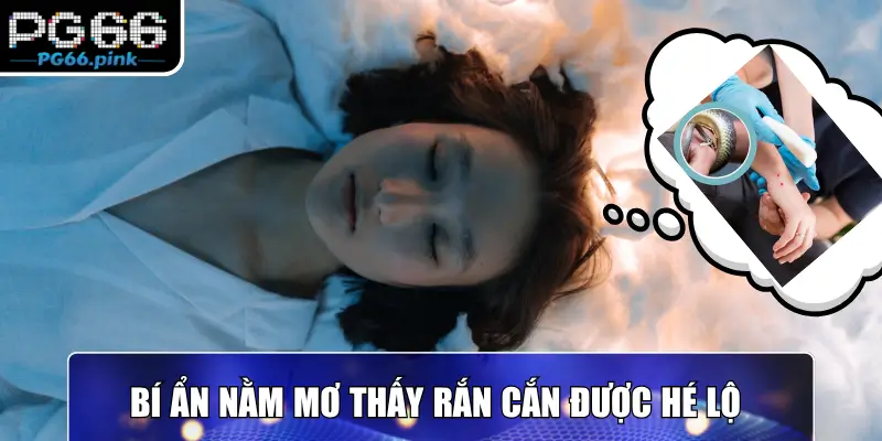 Bí ẩn nằm mơ thấy rắn cắn được hé lộ