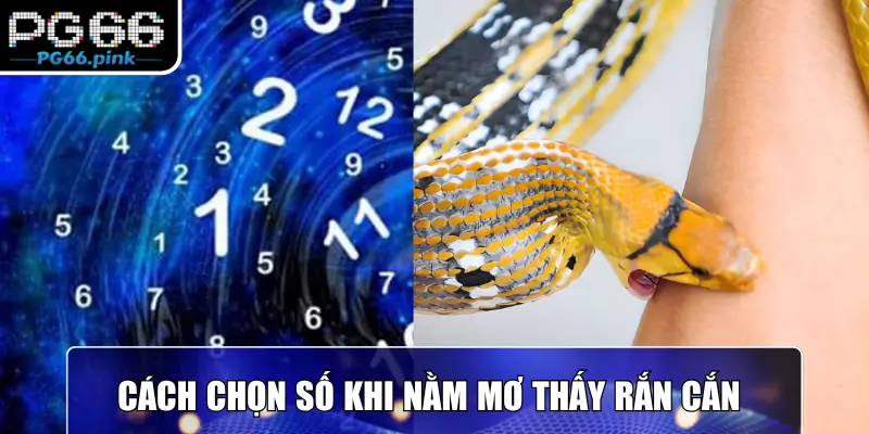 Cách chọn số khi nằm mơ thấy rắn cắn