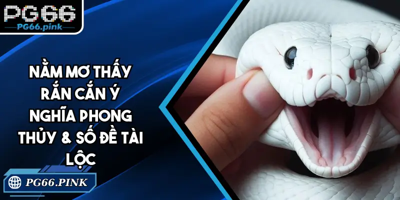nằm mơ thấy rắn cắn