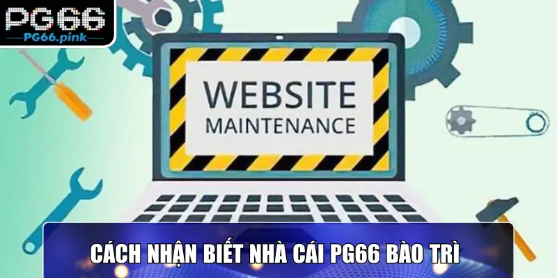 Cách nhận biết nhà cái PG66 bào trì